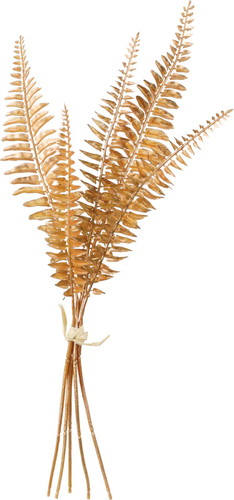 ブラッシュシダーバンドルの画像