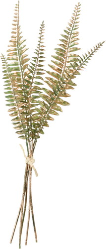 ブラッシュシダーバンドルの画像