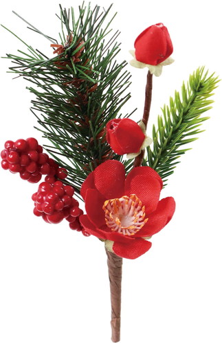 梅ミックスピックの画像