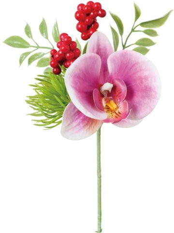 ミックスコチョウランピックの画像