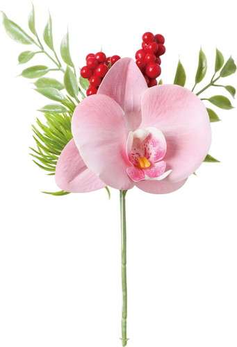 ミックスコチョウランピックの画像