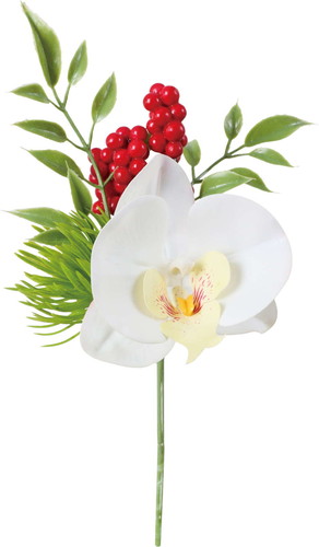 ミックスコチョウランピックの画像