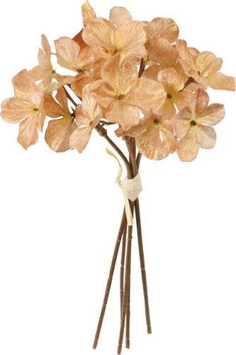 ブラッシュアジサイバンドル5Pの画像