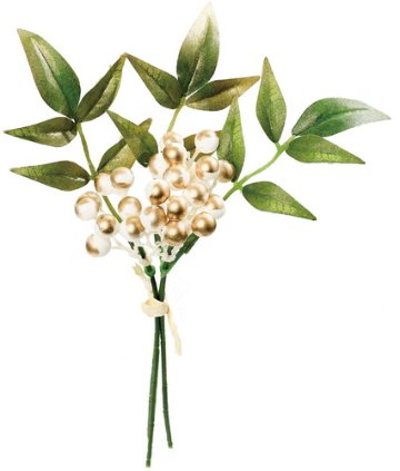 ブラッシュナンテンバンドル3Pの画像