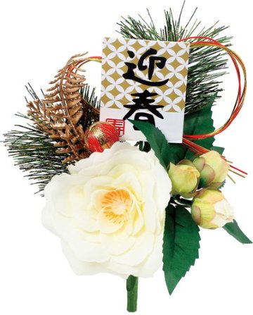 迎春椿ブッシュの画像