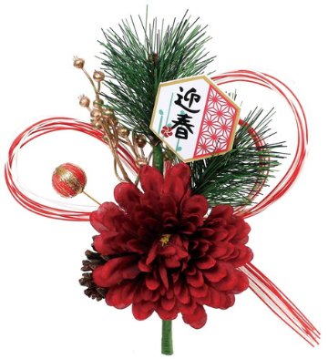 迎春菊ブッシュの画像