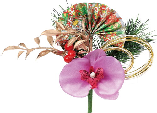 迎春胡蝶蘭ブッシュの画像