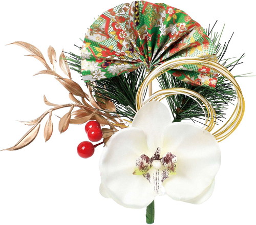 迎春胡蝶蘭ブッシュの画像