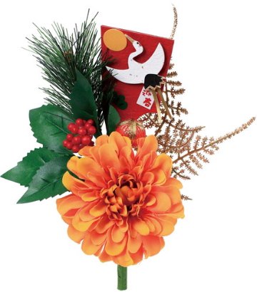 迎春ダリアブッシュの画像