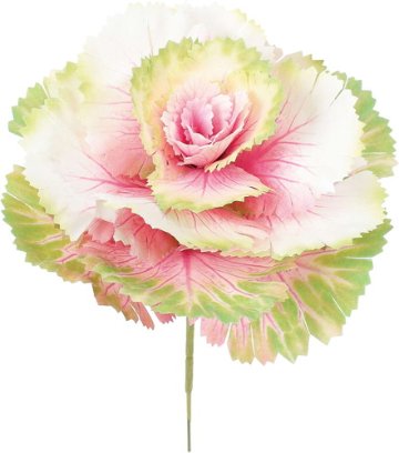 葉牡丹ピックの画像