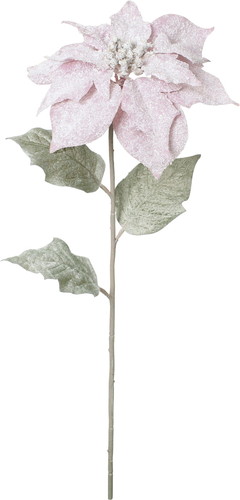 スノーポインセチアスプレーの画像