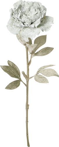 スノーピオニースプレーの画像