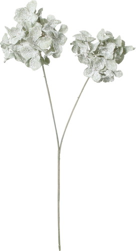 スノーハイドレンジアスプレーの画像