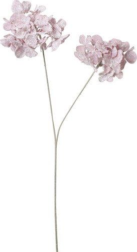 スノーハイドレンジアスプレーの画像