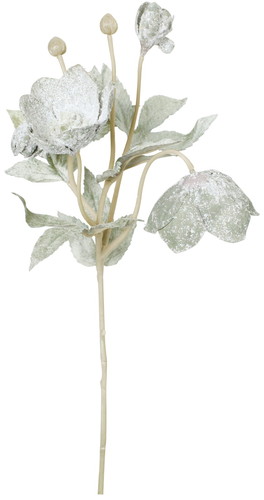 スノークリスマスローズスプレーの画像