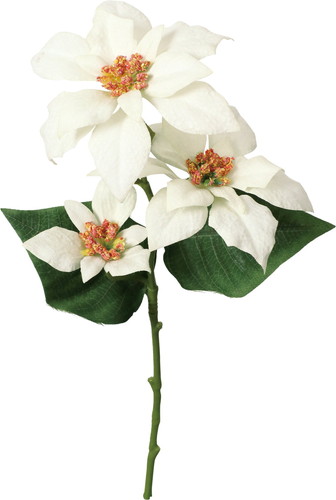 ポインセチア×3の画像