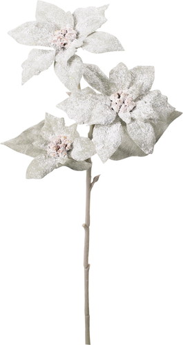 スノーミニポインセチアスプレーの画像