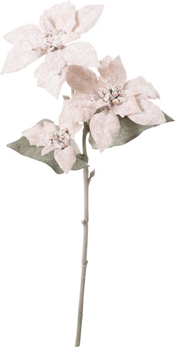 スノーミニポインセチアスプレーの画像