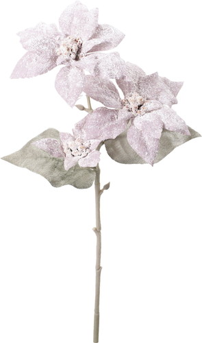 スノーミニポインセチアスプレーの画像