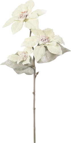 スノーミニポインセチアスプレーの画像