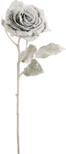 スノーローズスプレーの画像