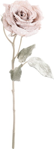 スノーローズスプレーの画像