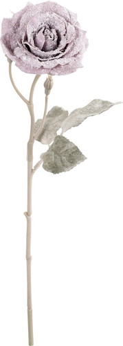 スノーローズスプレーの画像