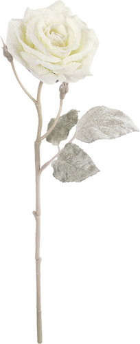 スノーローズスプレーの画像