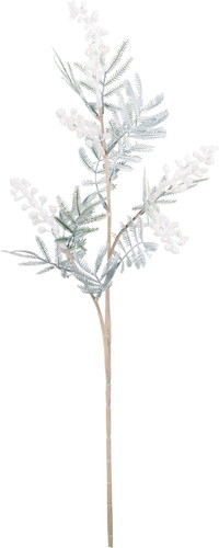 スノーアカシアスプレーの画像