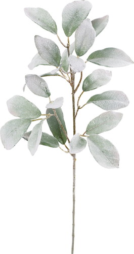 スノーラムズイヤースプレーの画像