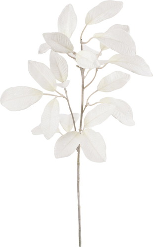 スノーラムズイヤースプレーの画像