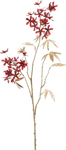 エレガンスフロックスフラワーの画像