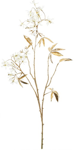 エレガンスフロックスフラワーの画像