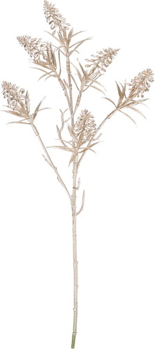 ブリリアントムスカリスプレーの画像