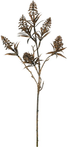 ブリリアントムスカリスプレーの画像