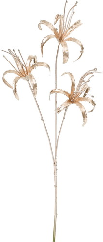 ブリリアントリリースプレーの画像