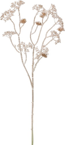 ブリリアントクラスターベリースプレーの画像