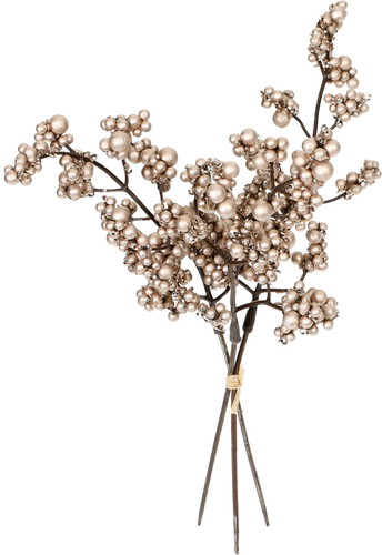 ブリリアントベリーバンドルの画像