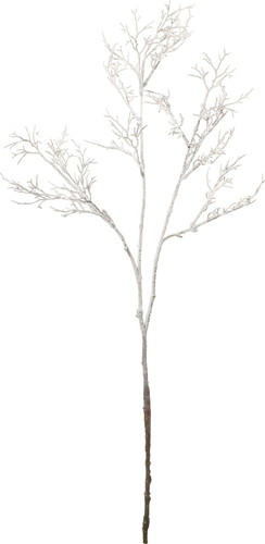 スノーティンクル ブランチの画像