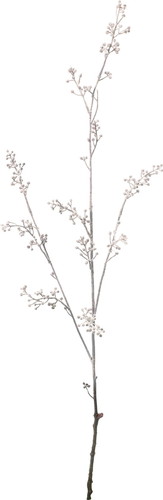 スノーティンクルベリーブランチの画像