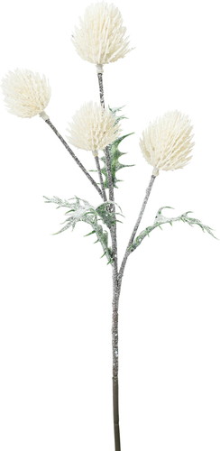 スノーグリッターアザミスプレーの画像