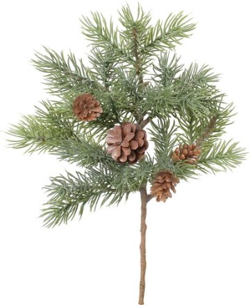 カーリーパインショートの画像