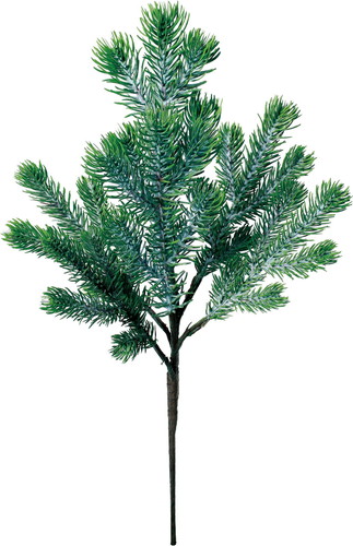 シラビソスプレーの画像