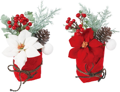 ポインセチアミックスポットS[BOX]の画像