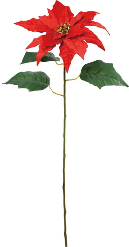 ポインセチアシングルの画像