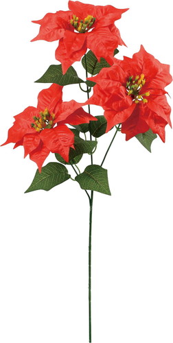 ベルベットポインセチア×3の画像