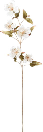 エレガンスケイパーフラワースプレーの画像