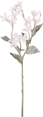 スノーブルースタースプレーの画像