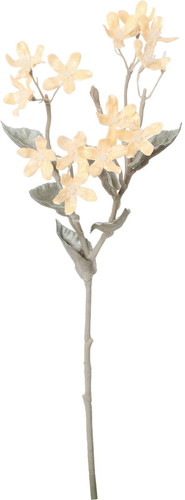 スノーブルースタースプレーの画像