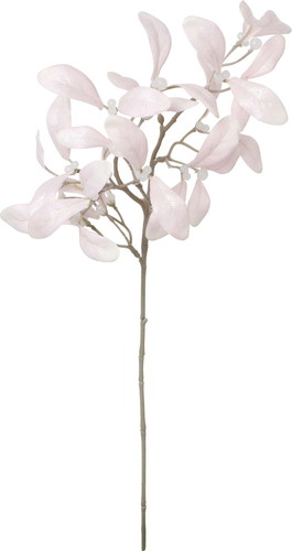 スノーミスルトゥースプレーの画像